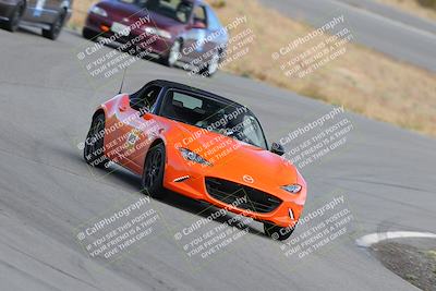 media/Nov-18-2023-Extreme Speed (Sat) [[10c227f63a]]/5-Blue/turn 9/